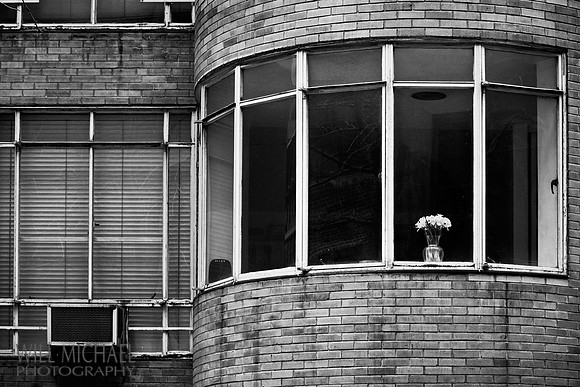 Will Michael Photography