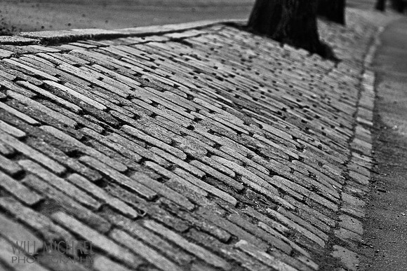 Will Michael Photography